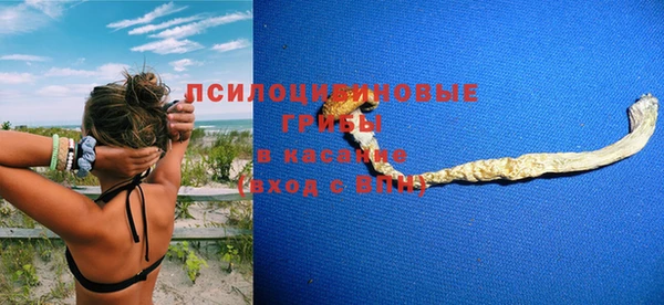 меф Арсеньев