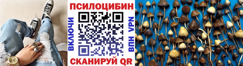 Галлюциногенные грибы MAGIC MUSHROOMS  Купить закладки  Симферополь 